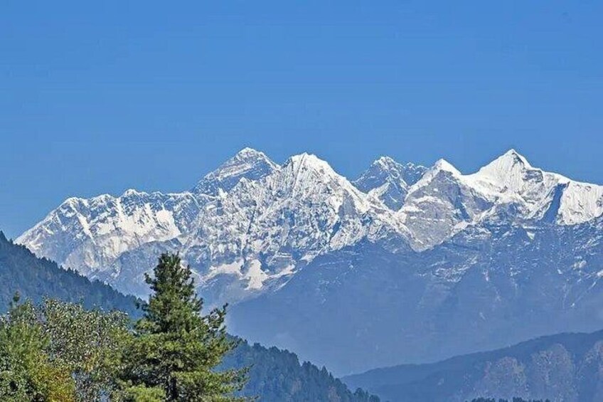 Snow-covered mountain peaks, a clear blue sky, and a coniferous tree in the foreground. 4