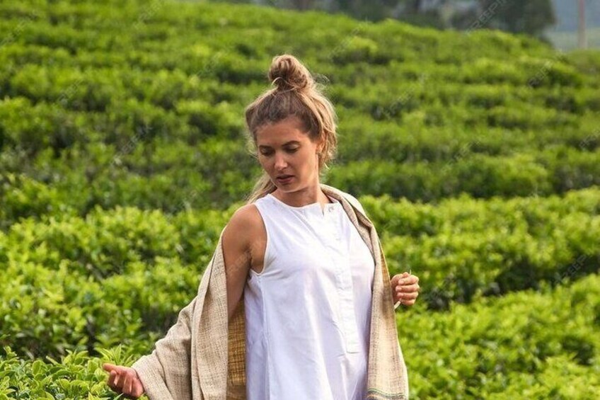 Una persona con camicia bianca e giacca color beige in una rigogliosa piantagione di tè. 3