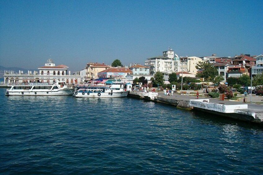 Princess Island (Büyükada)Tour with Lunch and Island Shuttle Car 3