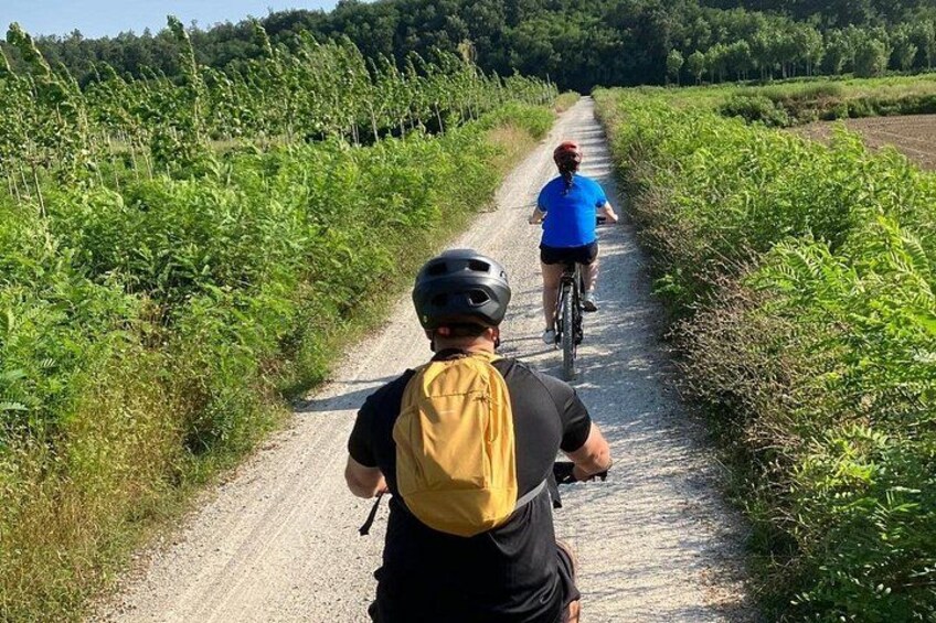 LUCCA the Puccini bike path and Massacciuccoli lake 3