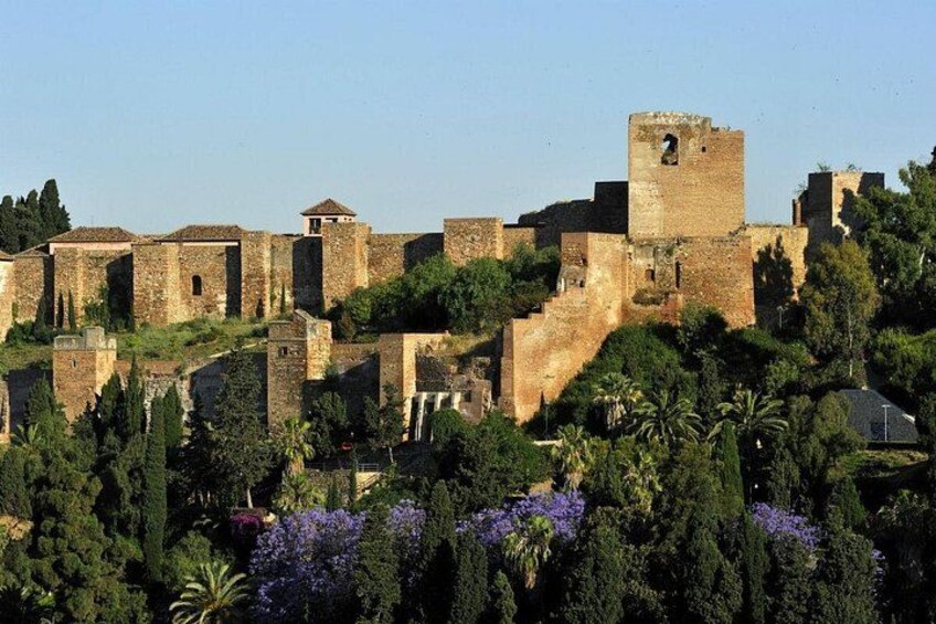 Malaga Private Tour: Alcazaba, Market, Catedral & Picasso 2
