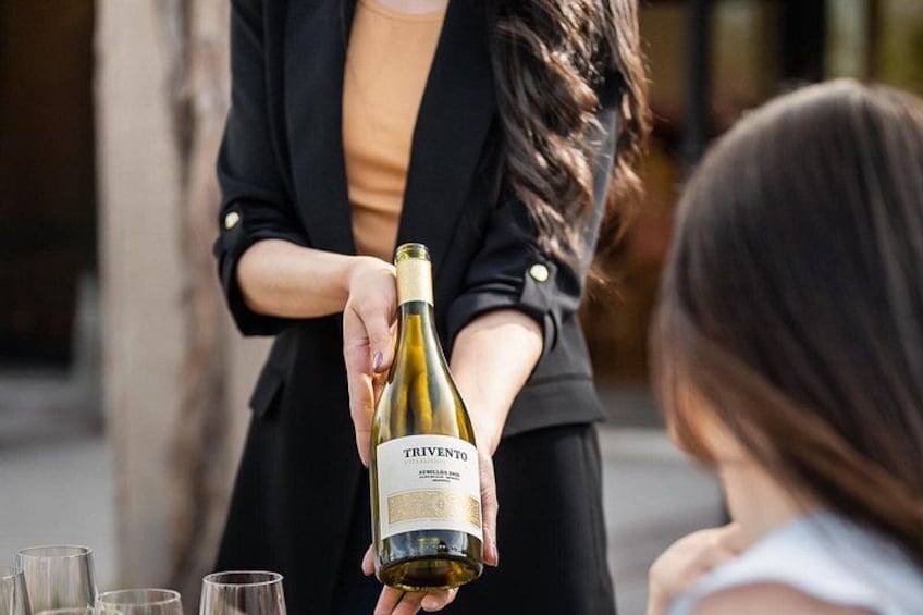 Eine Person hält eine Flasche Trivento-Wein. 5
