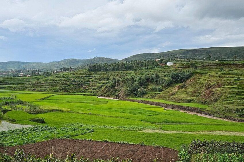 Terraced rice fields, a river, and rolling hills. 2
