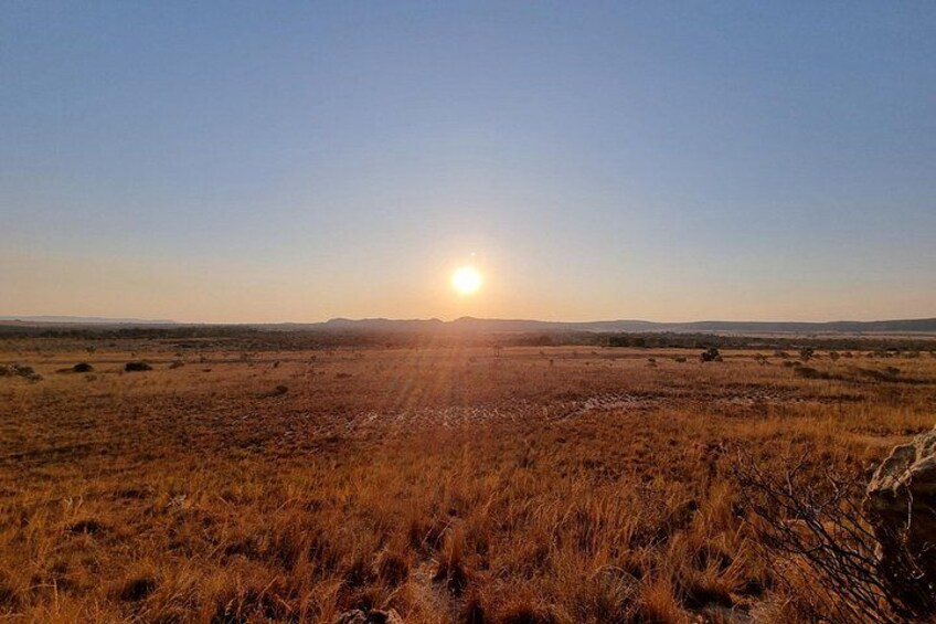 A vast, open field with dry grass under a clear sky during sunset. 5