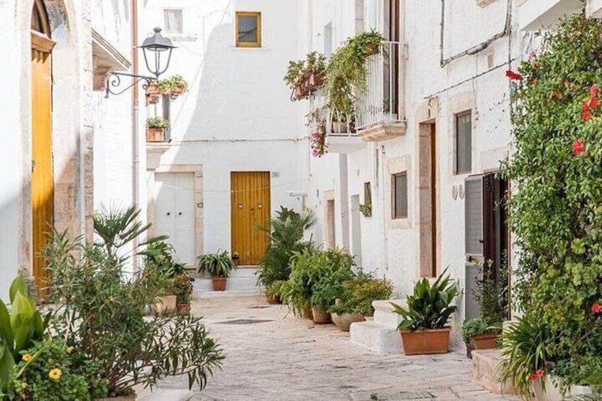 A narrow cobblestone street flanked by white buildings with balconies adorned with plants and flowers. 5