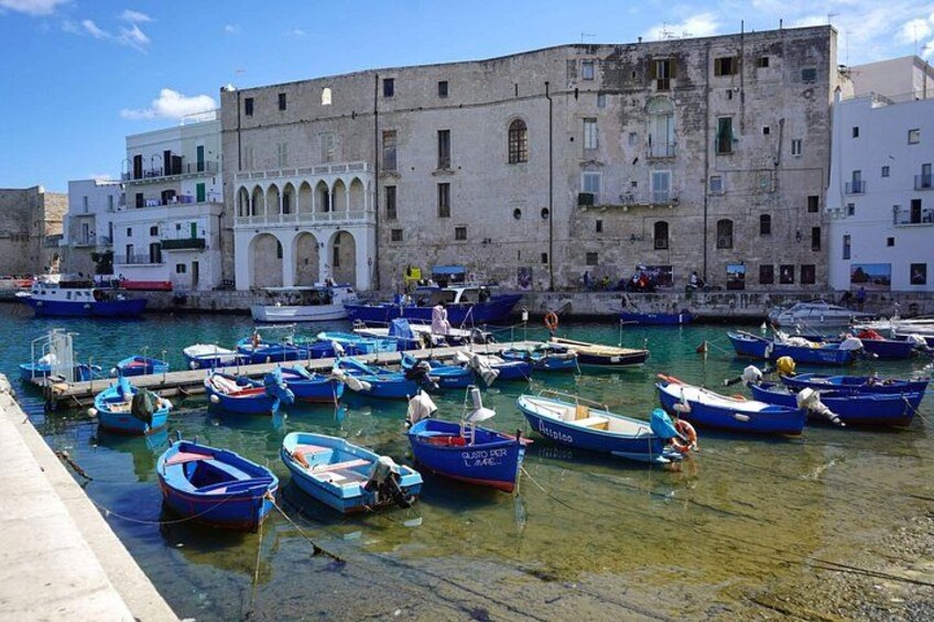 Private Tour in 3 Towns: Locorotondo, Monopoli, Polignano a mare. 4