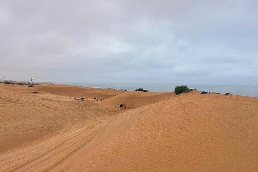 A desert landscape with sand dunes, a distant body of water, and sparse vegetation. 3