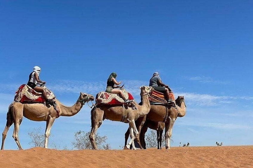 Three camels with riders in a desert landscape. 4