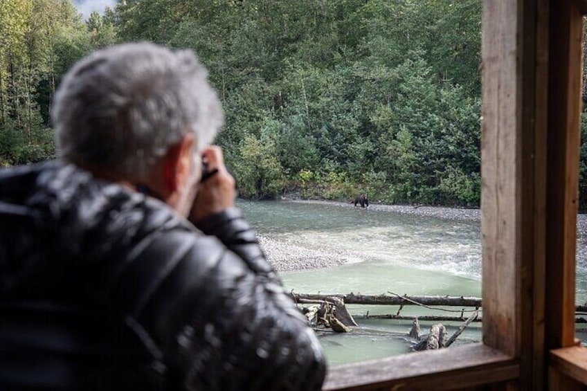 Une personne prend une photo d’une rivière, avec un ours en arrière-plan. 2