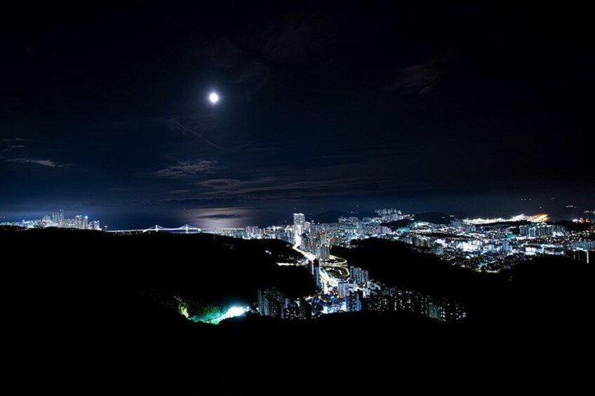 Busan Night One Day Tour Maximum 7 Pax 2