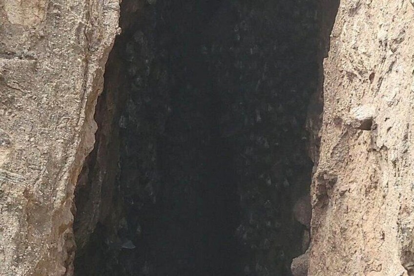 A narrow, rocky crevice with uneven surfaces and small openings. 2