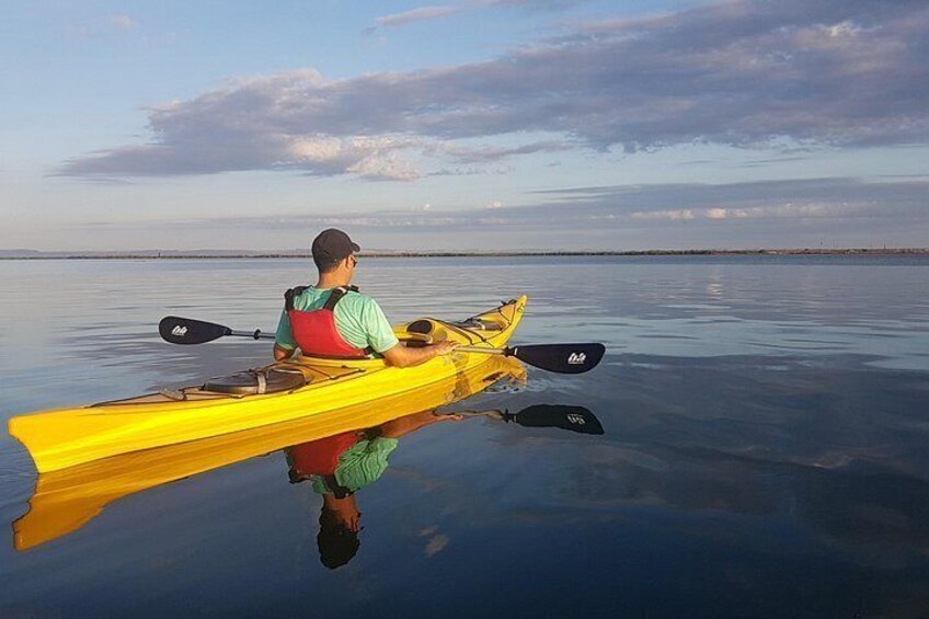 2 Hours of Kayak Safari in Bahía de La Paz 2