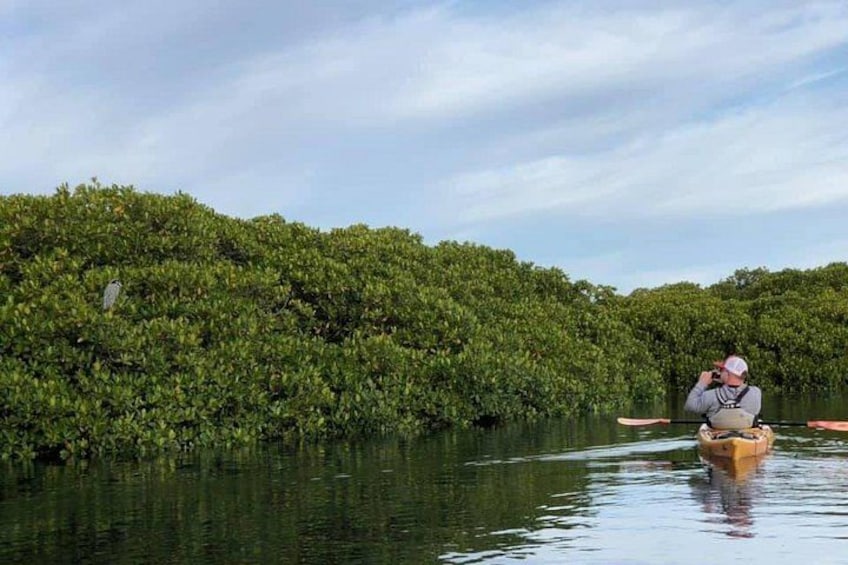 A person kayaking on a river surrounded by dense green foliage. 3