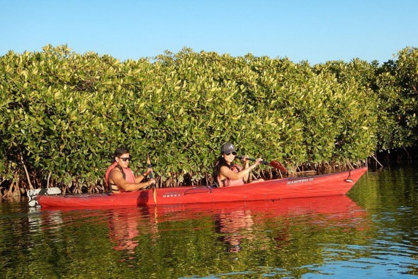 Two people paddling a red canoe in a mangrove-lined waterway. 2