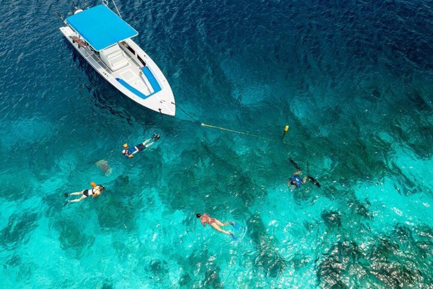 Enjoy our boat and discover the best snorkeling spots! 2