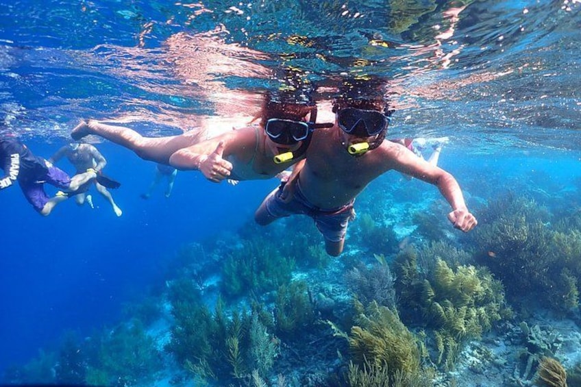 A person snorkeling underwater with marine plants and other snorkelers in the background. 3