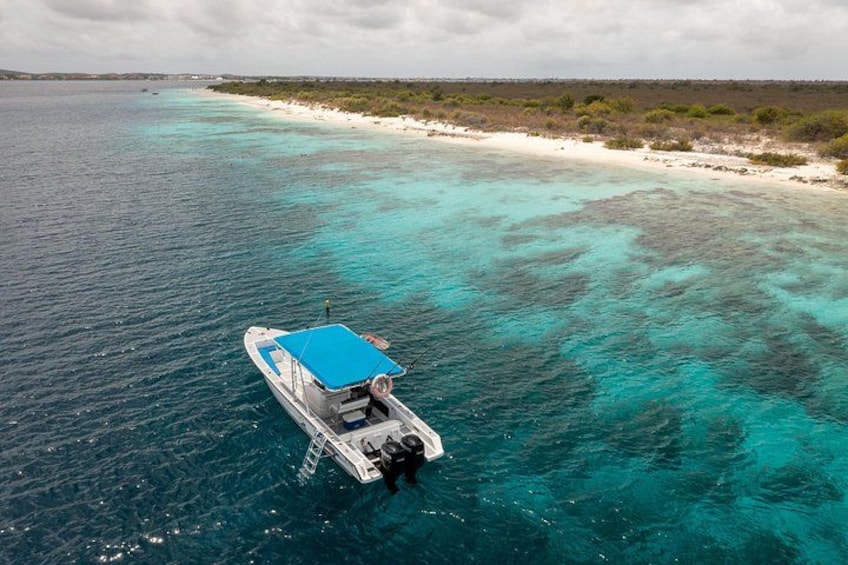 A boat with a blue canopy on a turquoise sea, surrounded by a white sandy beach and sparse vegetation. 5