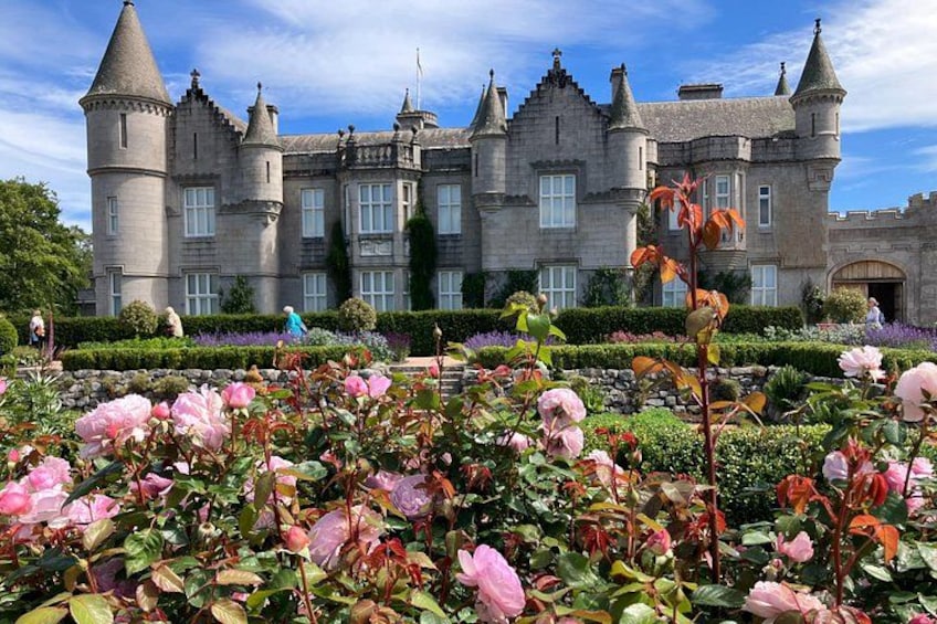 Un castillo con torres, un jardín de rosas rosadas y un cielo azul despejado. 1