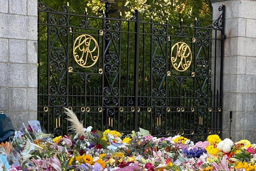 Una reja de hierro forjado con un escudo, rodeada de diversas flores coloridas. 4