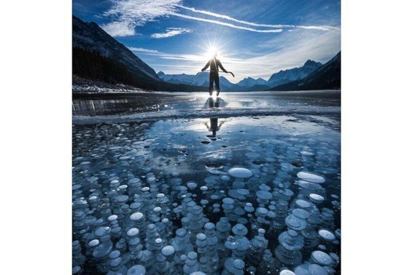Athabasca Falls/Abraham icebubble,Sunwpata Falls,Icefield & Peyto 2