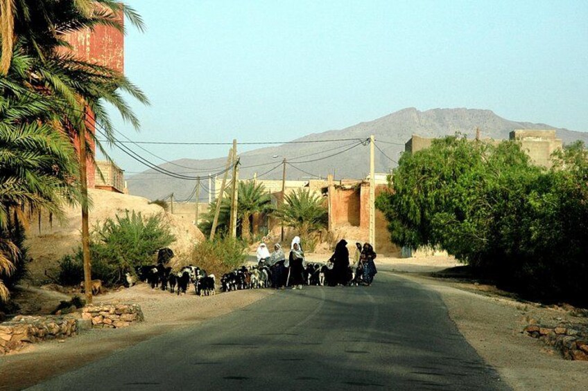 Day Trip to Atlas mountains with Berber House & Waterfalls 2