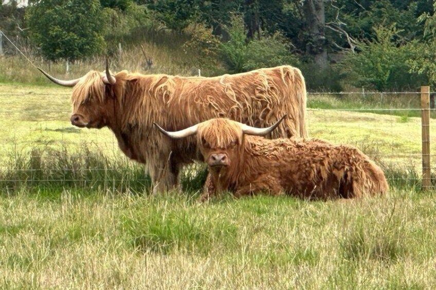 Loch Ness, Cawdor Castle, Outlander Sites & More from Inverness 2