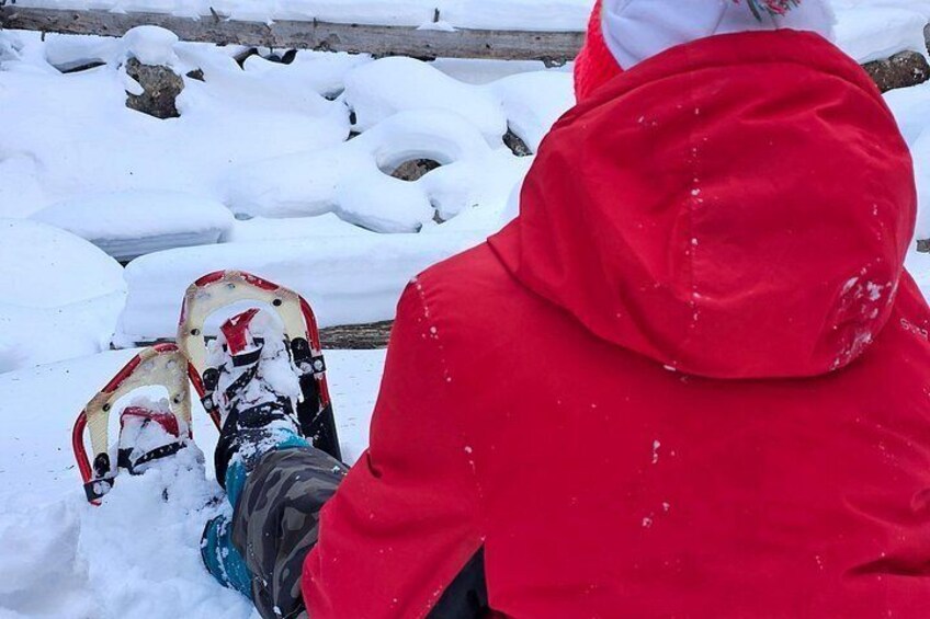 A person in a red jacket sitting on the snow with snowshoes. 5
