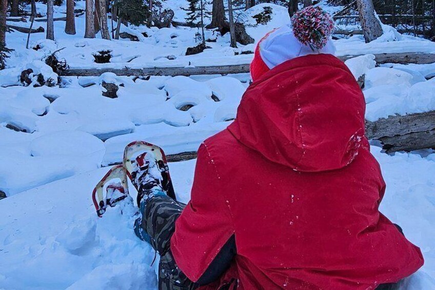 A person in a red jacket sitting on the snow with snowshoes. 3