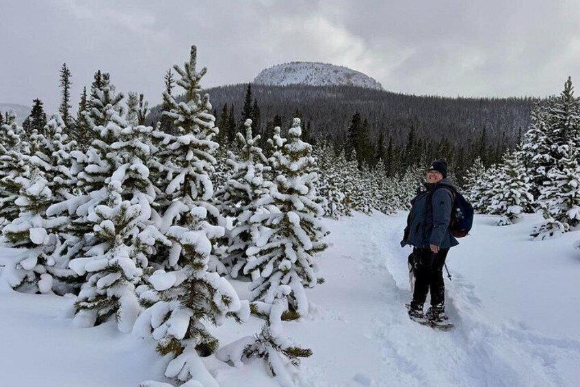 A person snowshoeing in a snowy forest with snow-covered trees and a mountain in the background. 2