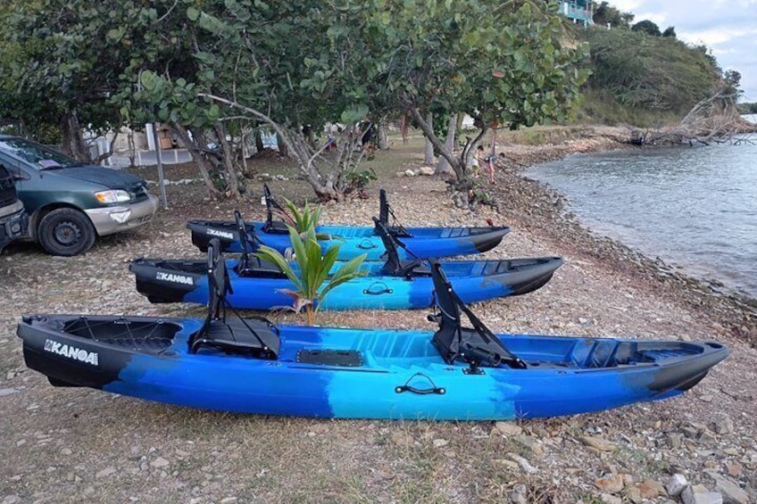 La Parguera Boat Tour 3