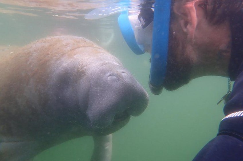A man underwater with a manatee. 4
