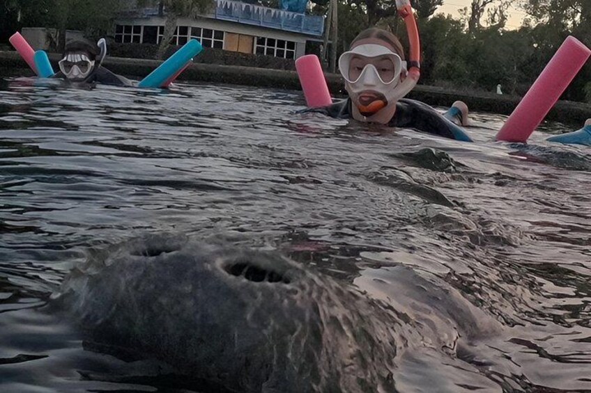 A river with people swimming and holding pink and blue floats. 5