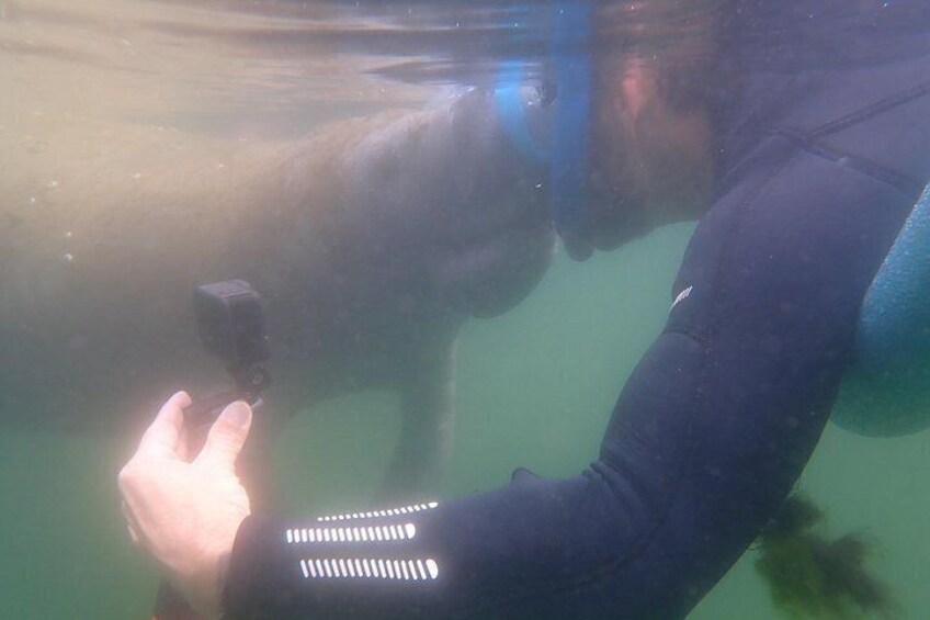 A person underwater, wearing a wetsuit, holding a camera. 2