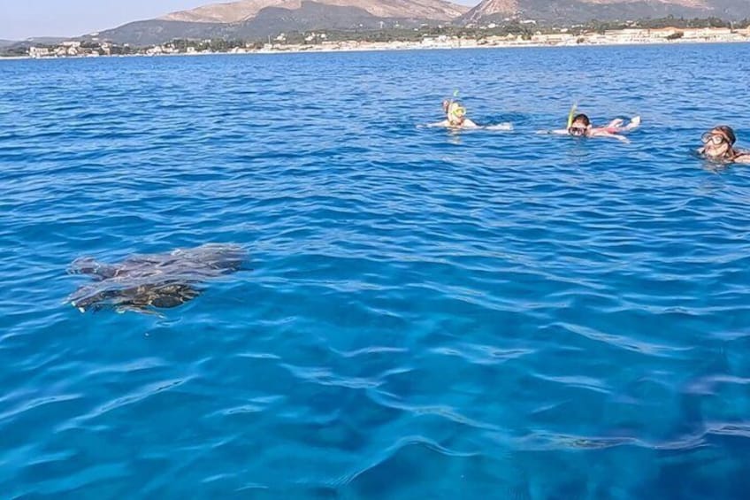 A group of people swimming in a clear blue sea with a distant shoreline and mountains. 1