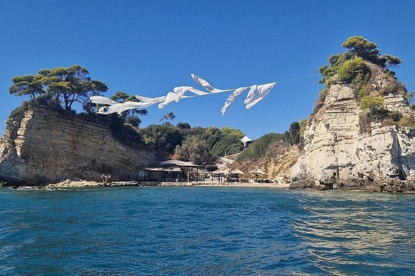 Zakynthos Turtle Tour Small Group Turtle Spotting & Turtle Island 3