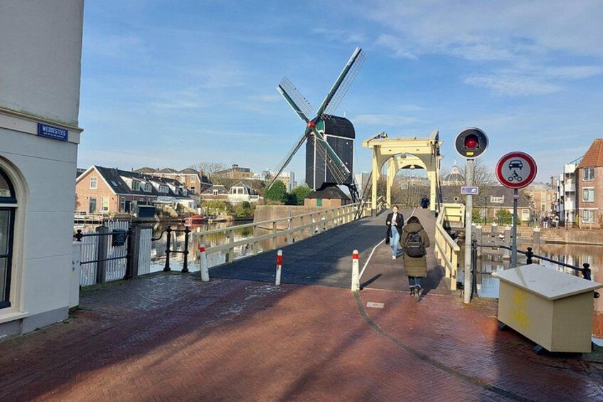 Un puente peatonal con un molino de viento al fondo, una señal de prohibido el paso y un semáforo en rojo. 5