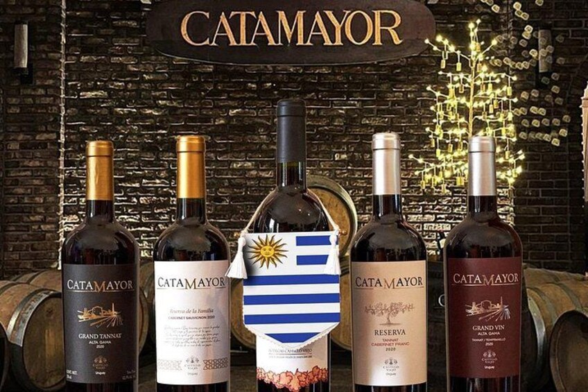 Our Wines 1