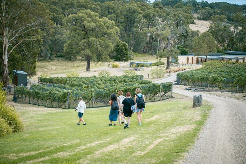 Exploring the working farm at Green Olive Estate 2