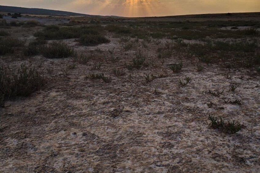 Bardenas Reales: Golden Hour 4x4 Tour 3