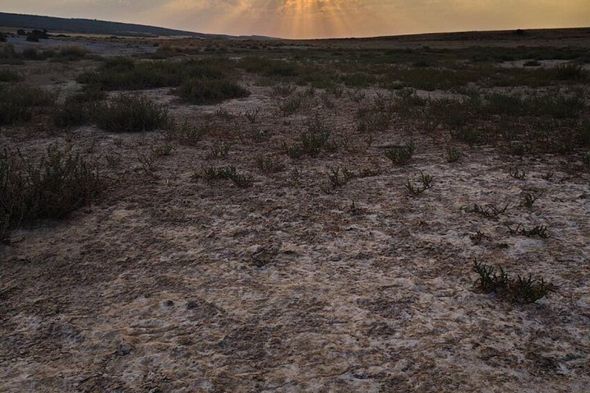 A dry, arid landscape with sparse vegetation and a distant horizon. 3