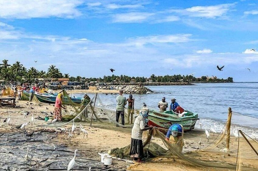 A beach with people fishing, boats, and birds. 2