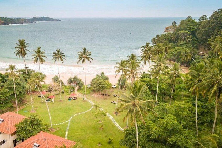 A beach with palm trees, a clear sky, and a distant view of the ocean. 5