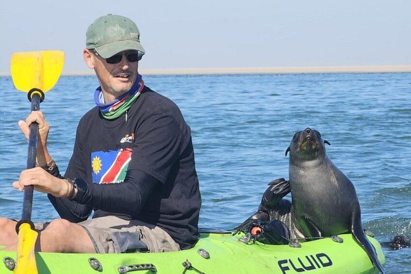 Une personne dans un kayak, accompagnée d’un lion de mer, tenant une pagaie, et un canot pneumatique vert sur lequel est écrit le mot « FLUID ». 1