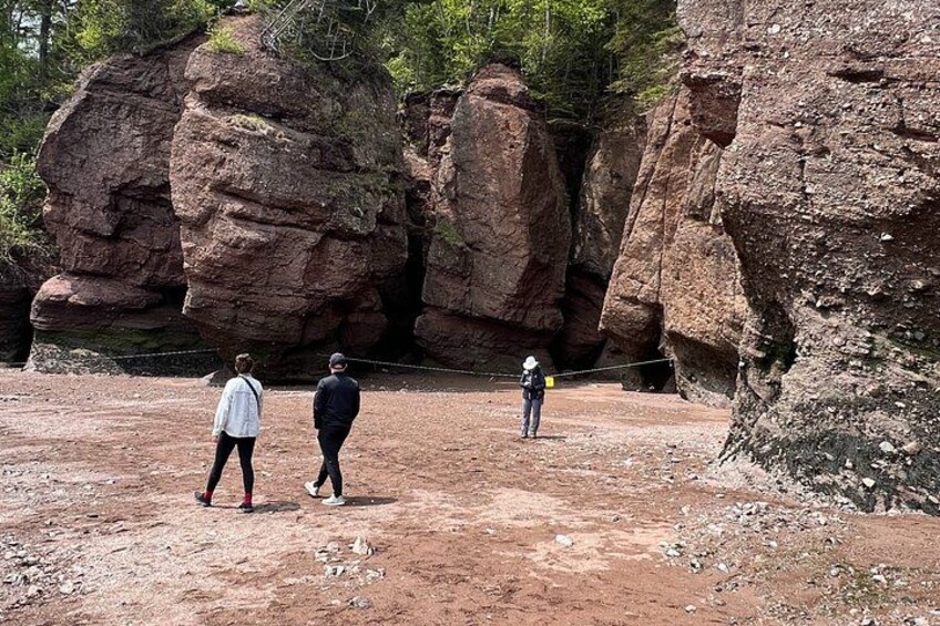 A rocky terrain with large boulders and a person walking on a dirt path. 3