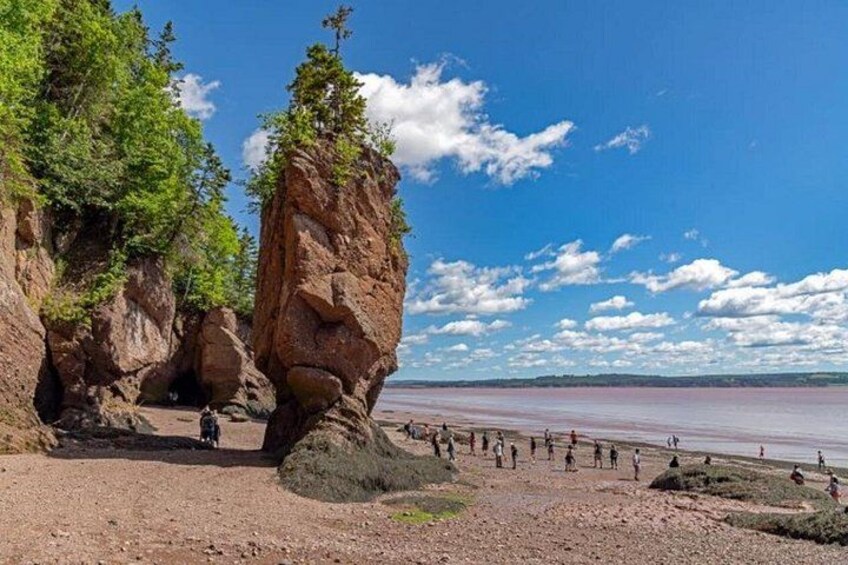 A rocky shoreline with people walking and a clear sky. 5