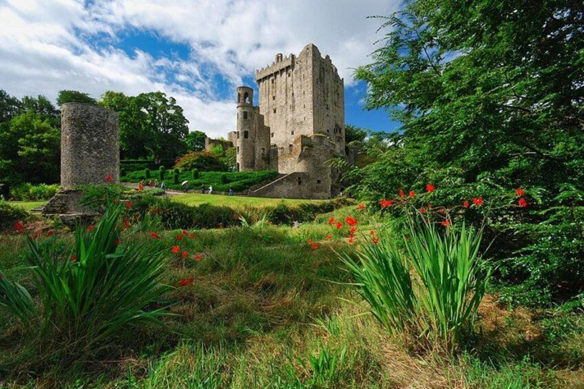 A historic castle with a tower, surrounded by lush greenery and red flowers. 3