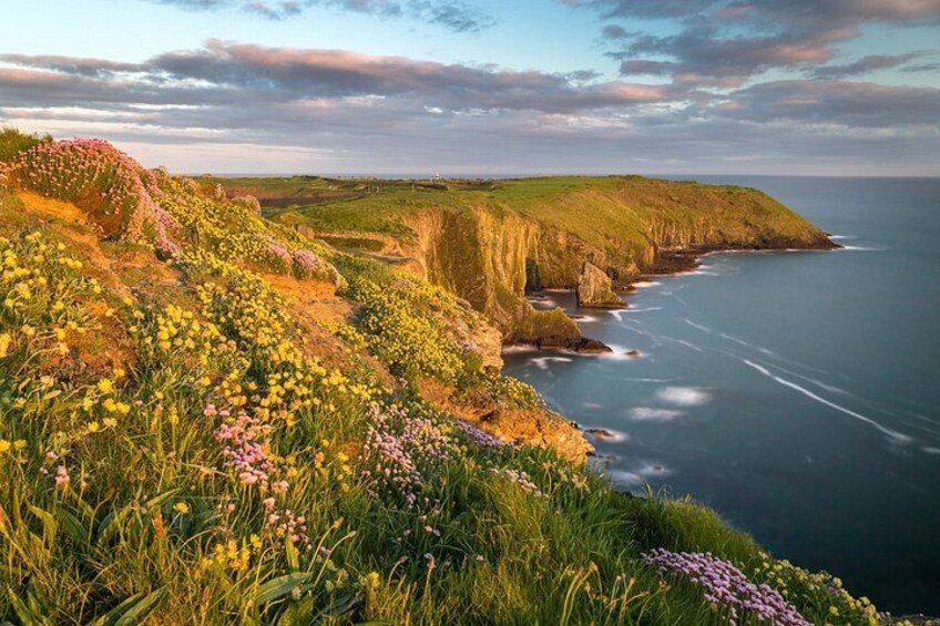 A coastal landscape with cliffs, a sea, and a variety of wildflowers. 4