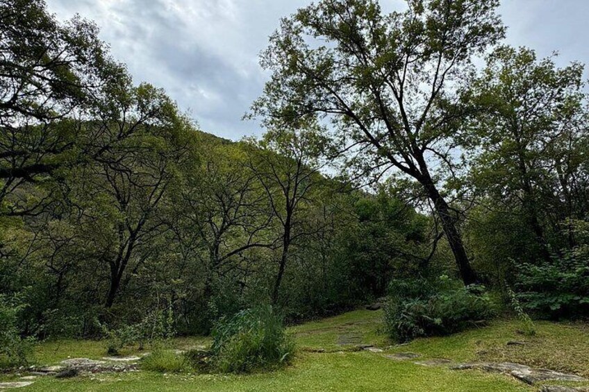 Private Estanzuela Natural Park Hike (Up to 6 ppl) 4