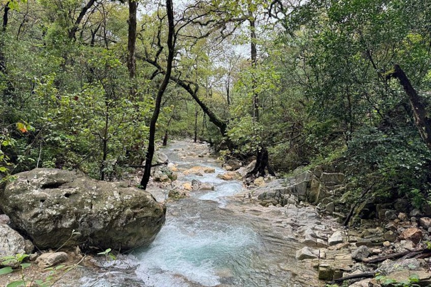 Private/Group Estanzuela Natural Park Hike 4
