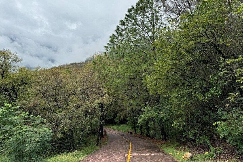 Private Estanzuela Natural Park Hike (Up to 6 ppl) 3